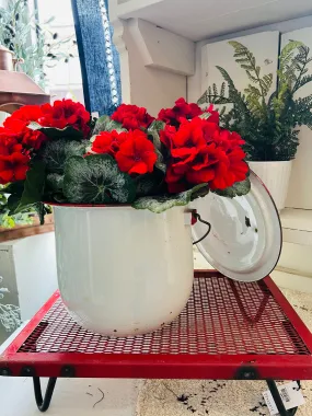 Red Screen Stand